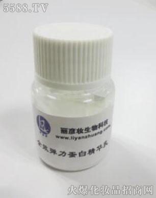 全效弹力蛋白精华乳