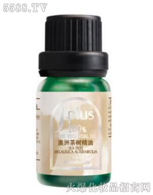 茶树精油