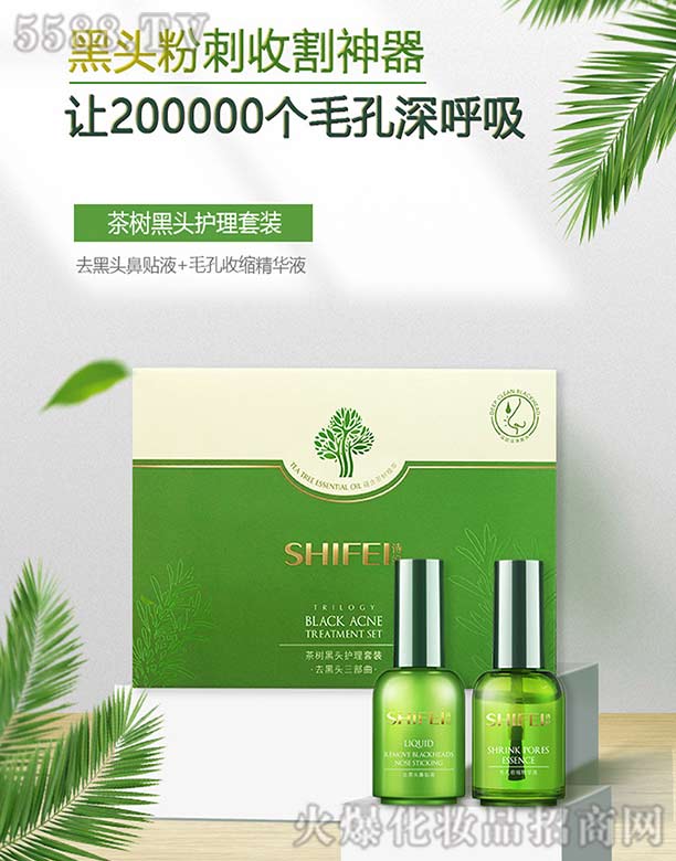 诗妃茶树去黑头套装