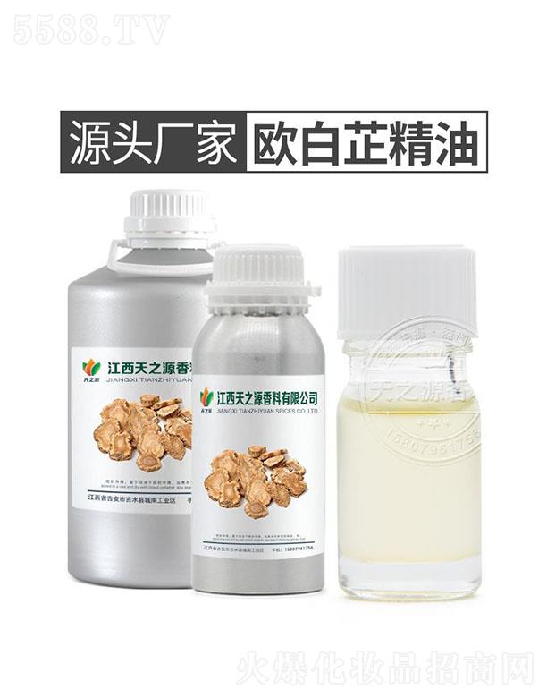 天之源欧白芷精油