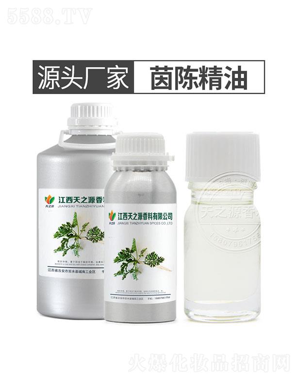 天之源茵陈精油