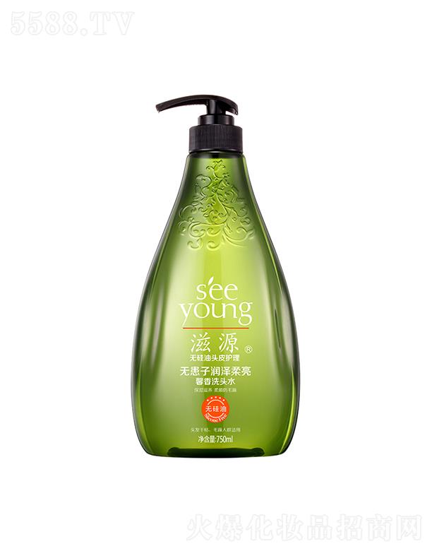 滋源无患子润泽柔亮馨香洗头水750mL
